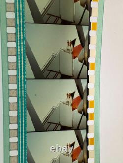RARE My Week With Marilyn 35mm Trailer FYC Screenplay Book Gerald Gurian Estate