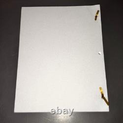 THOMAS CROWN AFFAIR 1997 Original Movie Script Pierce Brosnan Action Thriller