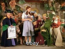 The Wizard of Oz Movie Film Props Memorabilia Collectibles Book